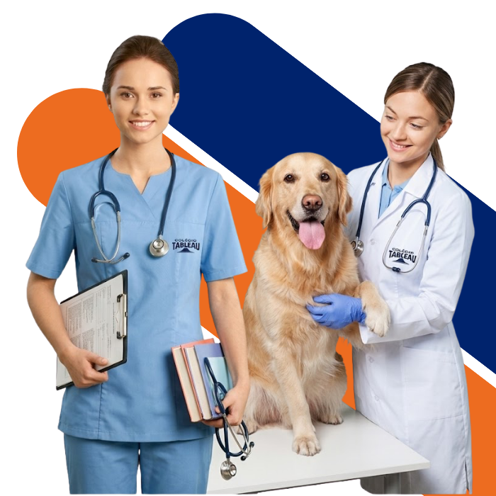 Cursos Técnicos Tableau